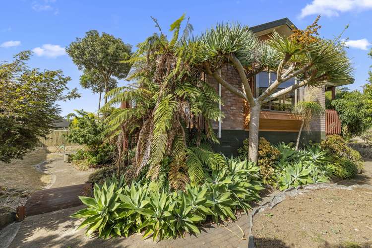 18 Oak Street Morrinsville_18