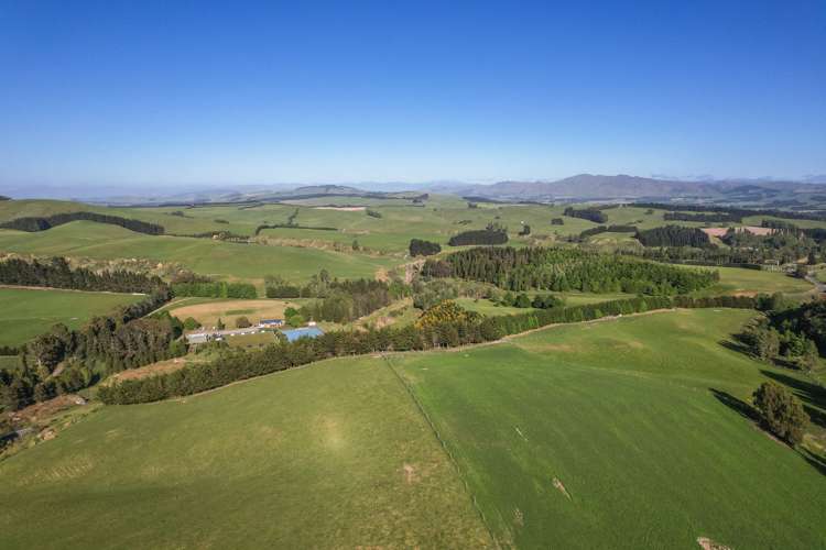 102 Scargill Valley Road Greta Valley_13