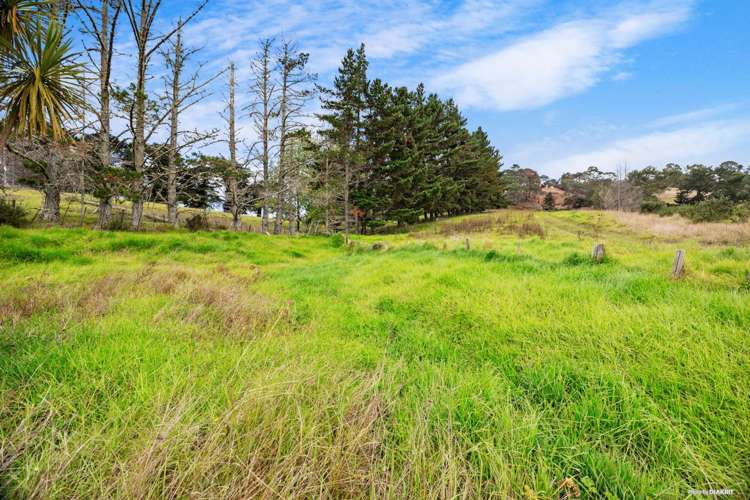 411 Pine Valley Road Dairy Flat_13