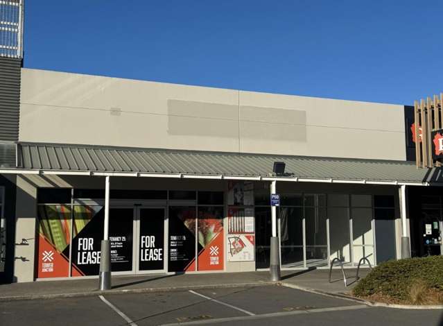 62 Clarence Street Addington_1