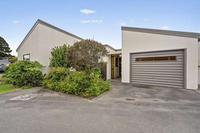 5/386 Gloucester Street Taradale_1