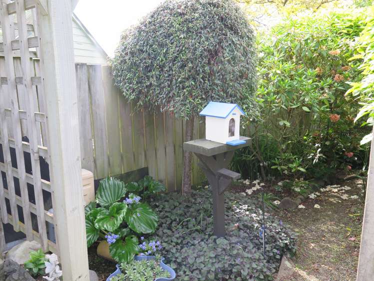 45 Newman Street Waimataitai_5