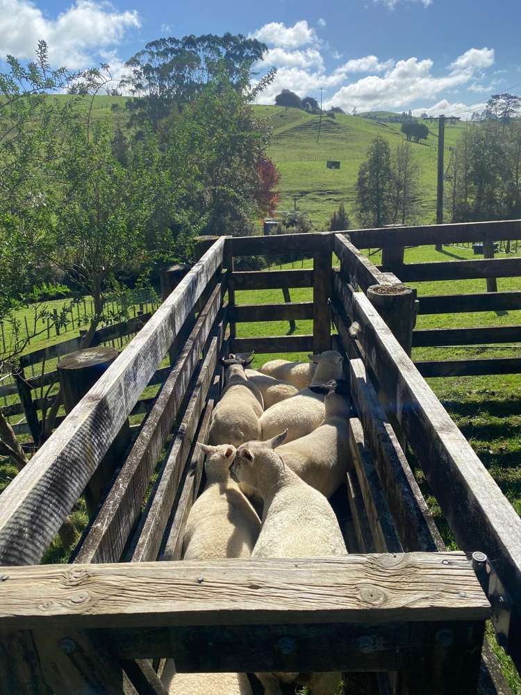 486 Pinnacle Hill Road Bombay_23