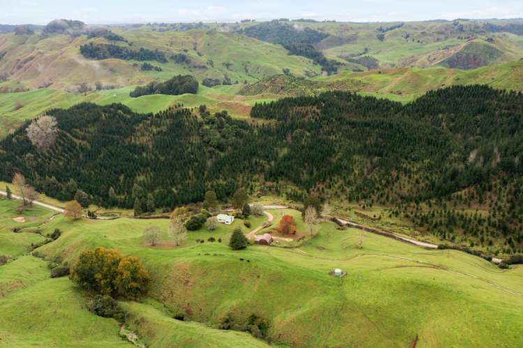 124 Haku Road Piopio_7