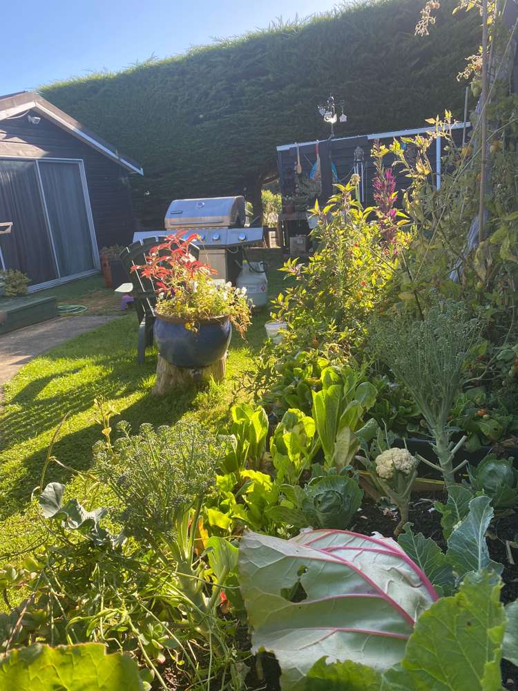 7 Pearse Street Brighton_11