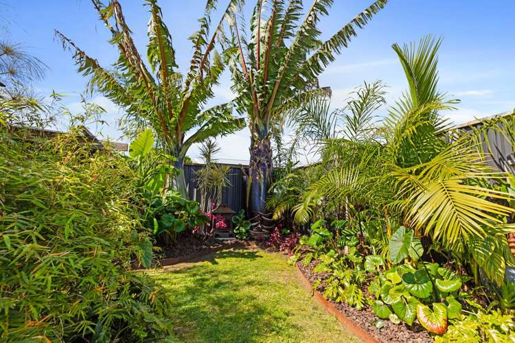 155 Sixteenth Avenue Tauranga South_45