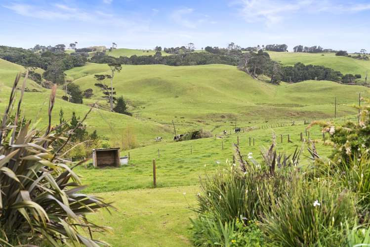 130 Gleeson Road Waiuku_12
