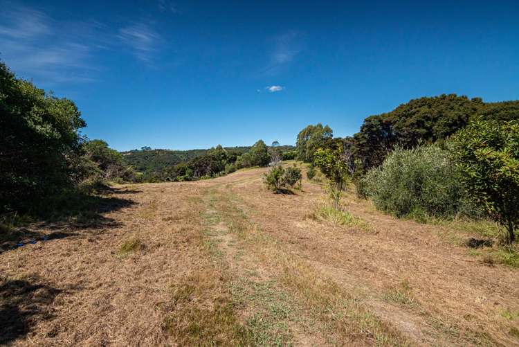 100 Musson Drive Waiheke Island_12