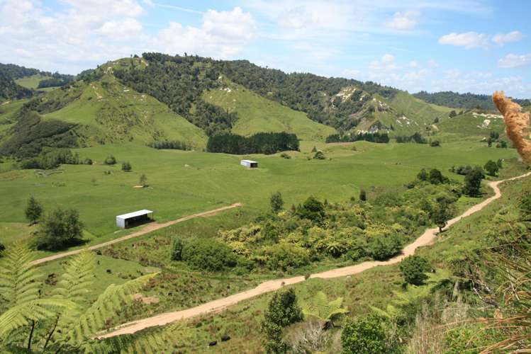 1099 Mataro Road Urenui_26