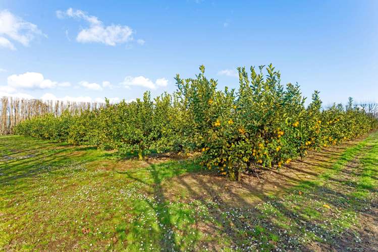 64 Cemetery Road Patutahi_15