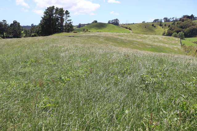 MANGOREI ROAD GRAZING PROPERTY