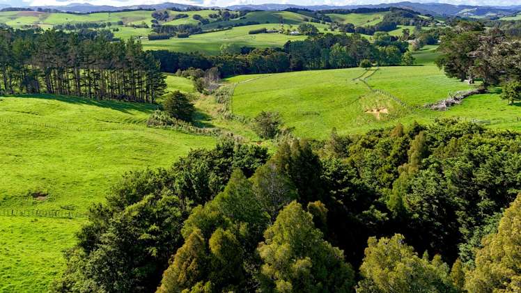 11 Pool Road Wellsford_4