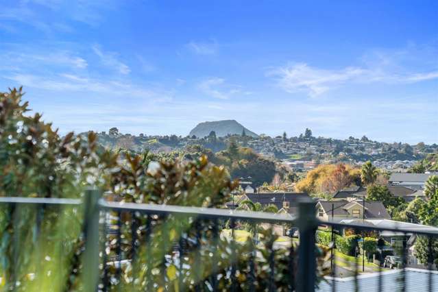 15 Valley View Way Bethlehem_1