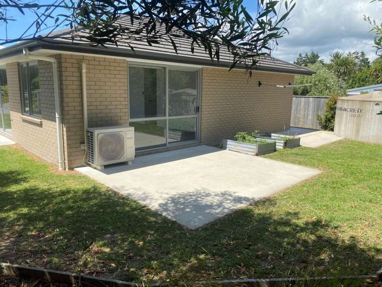 1 Herons Lane Mangawhai_15