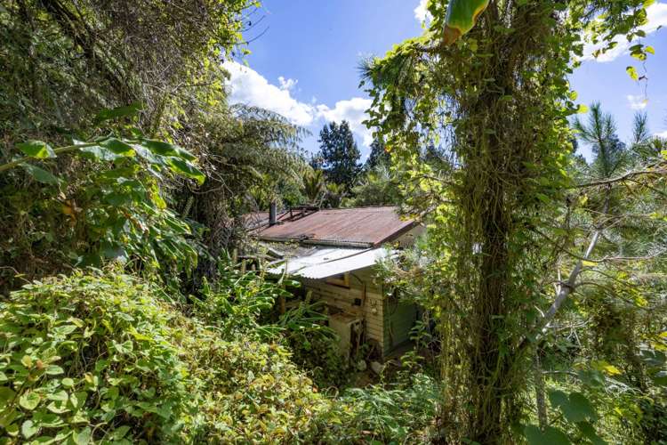 787 West Coast Road Oratia_4