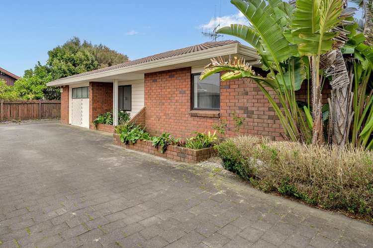 20A Reilly Avenue Mt Maunganui_15