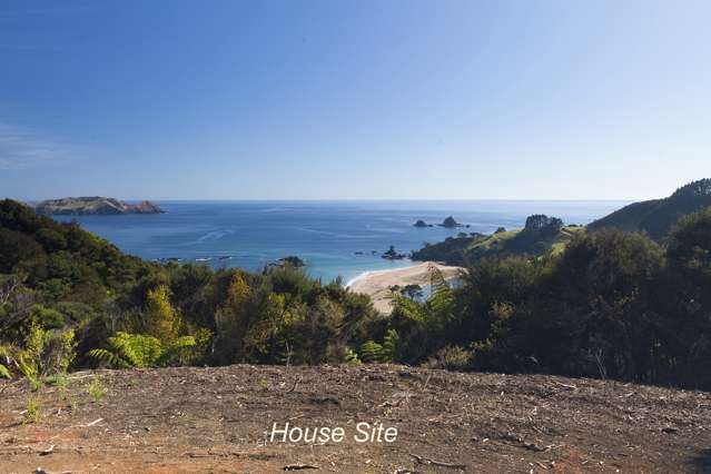 Lot 1 Te Kahikatoa Peninsula Whangaroa_1