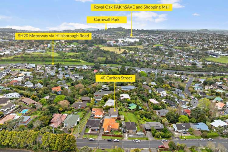 40 Carlton Street Hillsborough_33