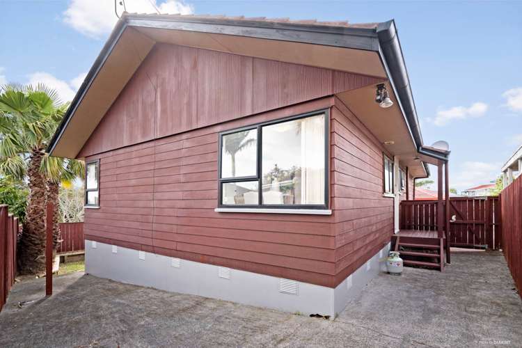 2/4 Halleys Place Mount Roskill_15