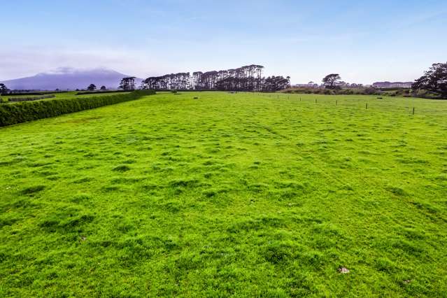 Immaculate Pihama Dairy Farm