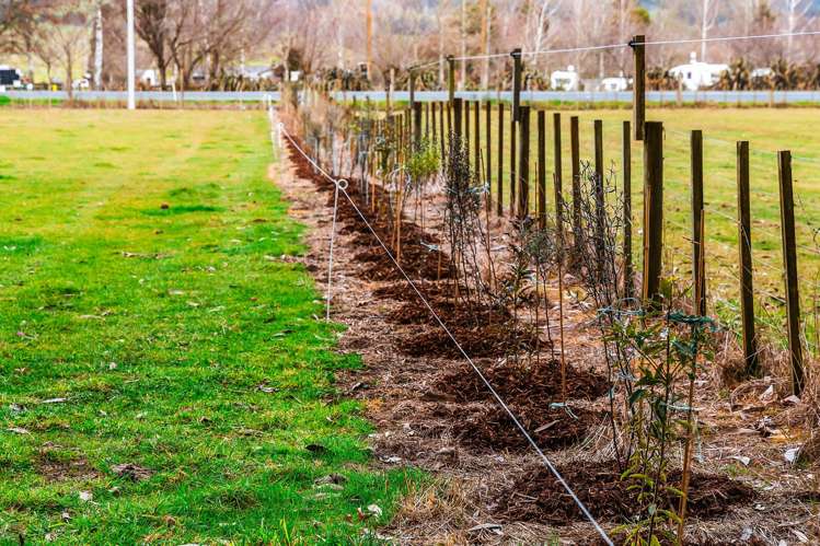 1777 Broadlands Road Broadlands Forest_12