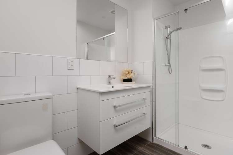 31 Seddon Street Sydenham_19