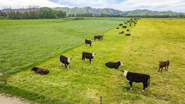 62 Waiau West Road Cheviot_2