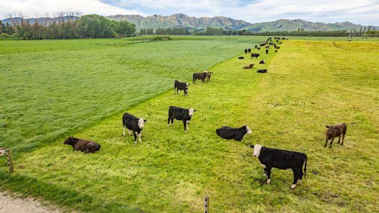 62 Waiau West Road Cheviot_2