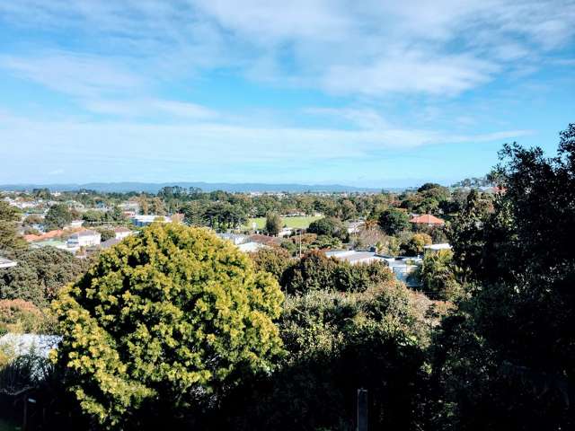 29 Rona Avenue Grey Lynn_4