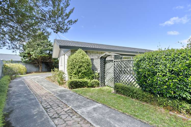 34 Wiremu Street Redwood_24