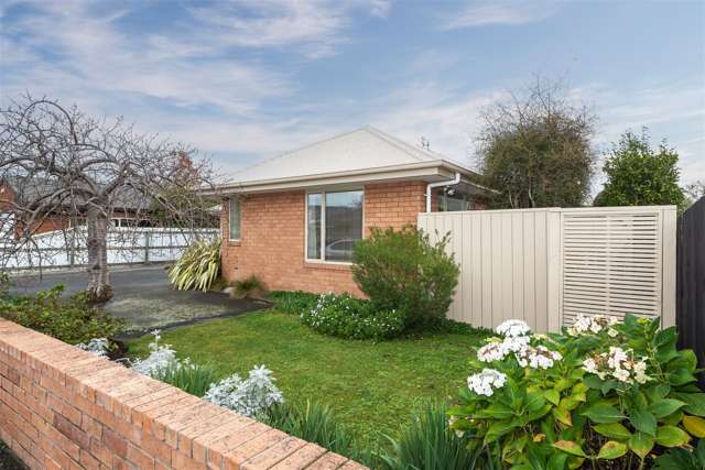 129 Colombo Street Sydenham_1