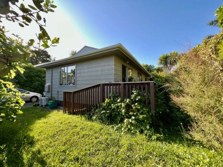 23a Uenuku Avenue Raglan_17