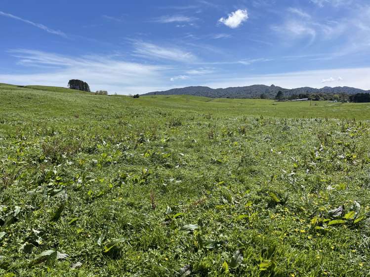 487 Pekanui Road. Rd 6 Te Awamutu_30