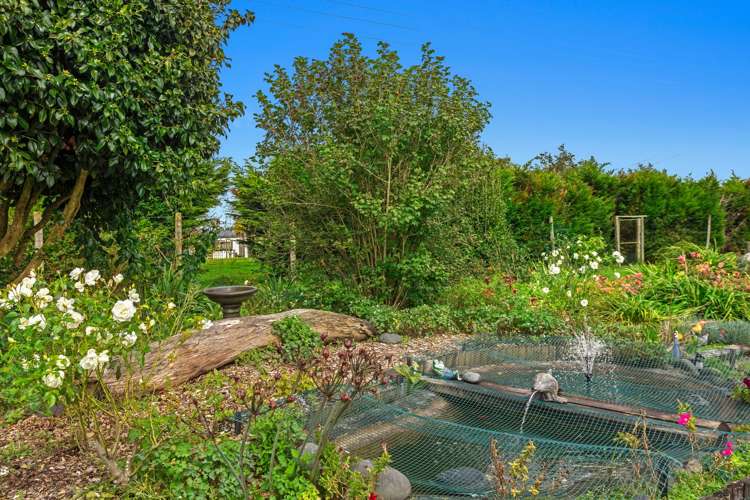 238b Hallett Road Otakiri_22