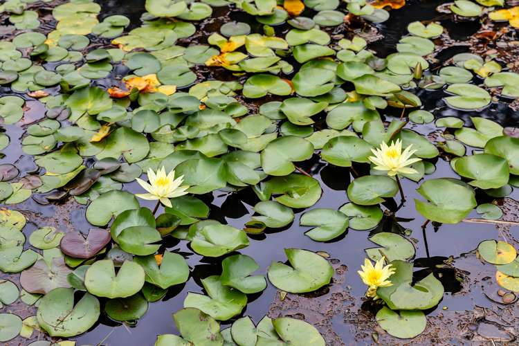 449 Cemetery Road Maunu_45