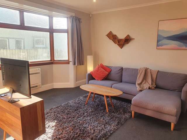 1 Antrim Street Sydenham_3