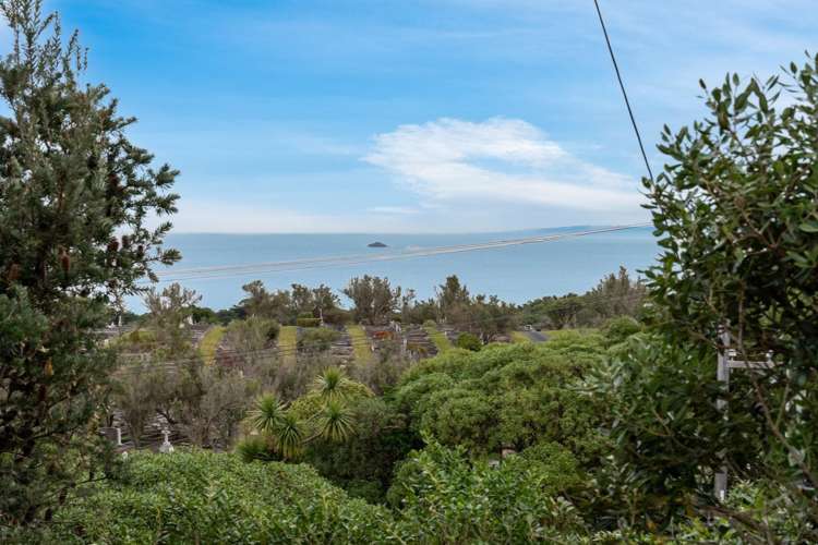 201 Tomahawk Road Andersons Bay_25