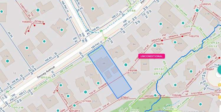 48 Penney Avenue Mt Roskill_3