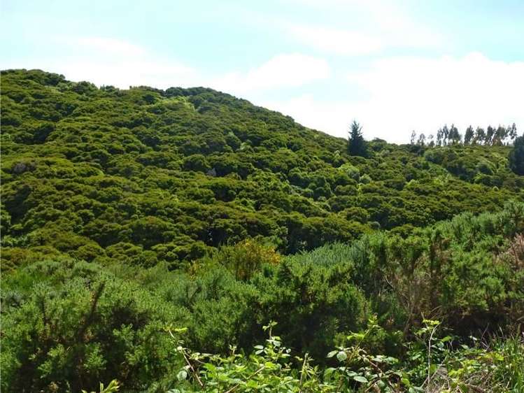 58 Chain Hills Road Chain Hills_3