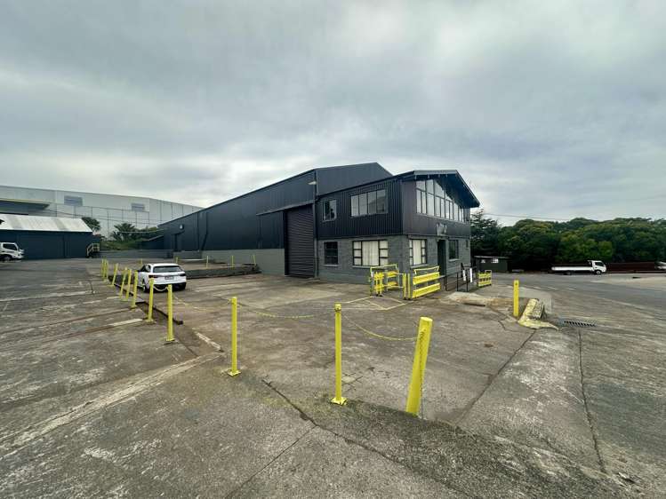 591 Rosebank Road Avondale_4