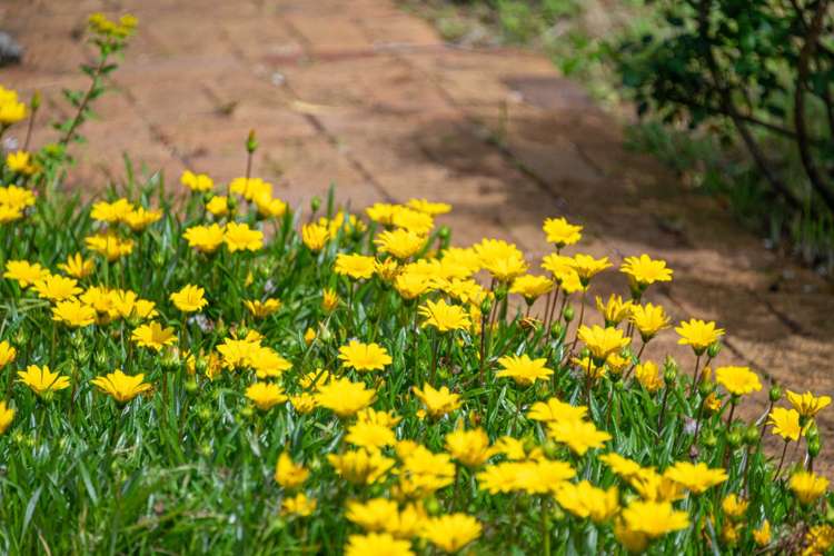 370 Fordyce Road Helensville_40