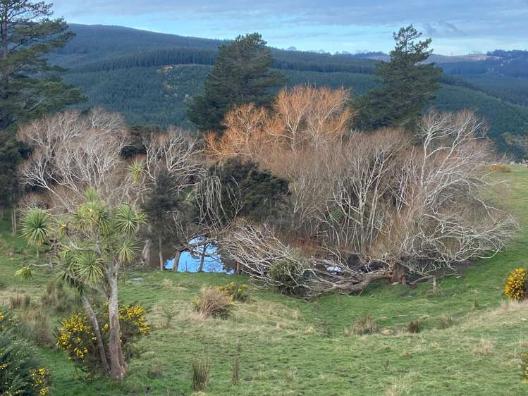 121 Silverstream Valley Road North Taieri_18