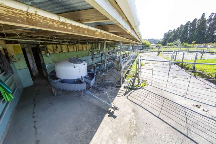 173 Day Road Wellsford_12