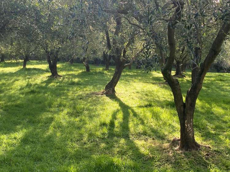 728 Ormiston Road Waipu_5