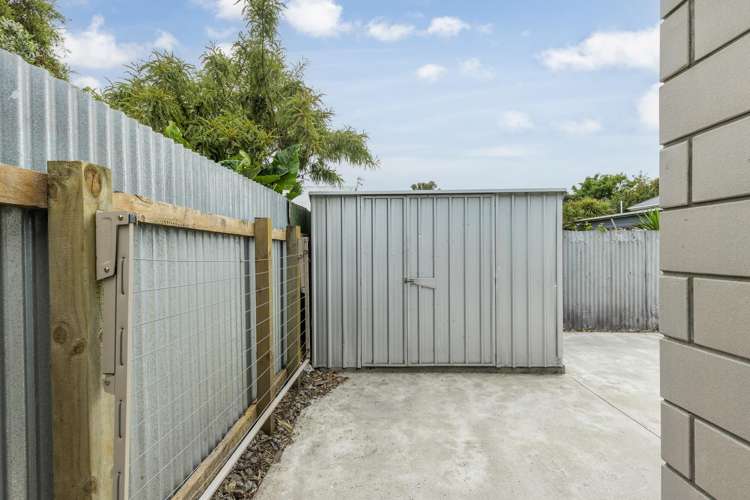 12A Guy Avenue Levin_18