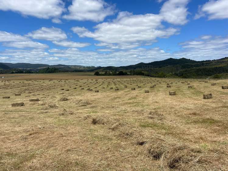 4321 State Highway 1 Mangamuka_4