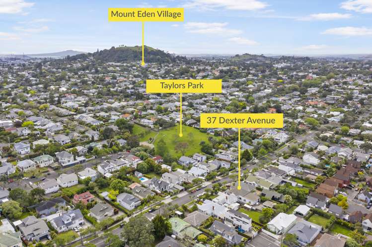 37 Dexter Avenue Mount Eden_19