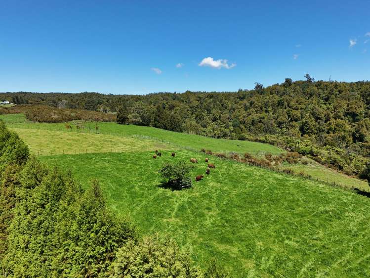 9D McQuade Road Whakamarama_10
