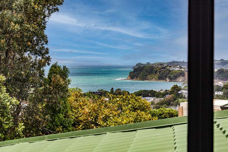 514b Whangaparaoa Road Stanmore Bay_5