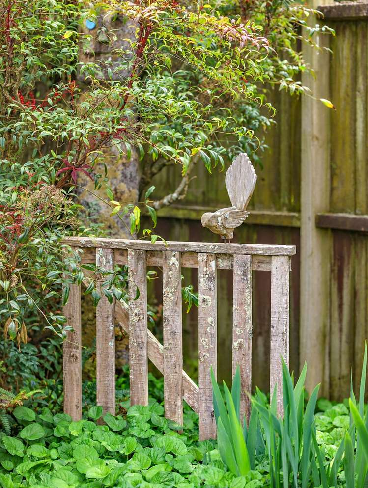 19 Winstone Avenue Chartwell_32